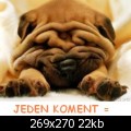Zobacz zdjcie